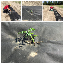 이미지를 갤러리 뷰어에 로드 ,  ground stakes home depot, christmas light ground stakes,	ground stakes lowes,	metal ground stakes, fence ground stakes, heavy duty ground stakes, u shaped ground stakes, ground anchor stakes, plastic ground stakes, ground stake for pvc pipe, ground stakes for lights, trampoline ground stakes, solar light ground stakes, long metal ground stakes, ozone ground stake, 12 inch ground stakes, extra long ground stakes