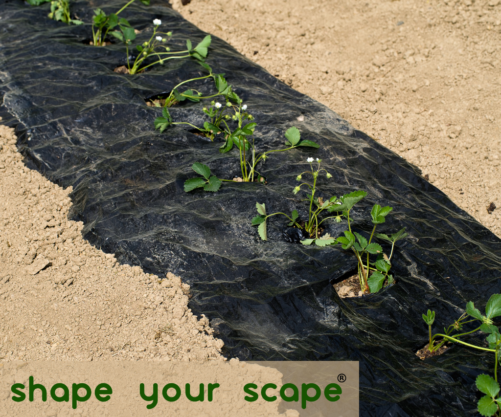 How to Use Landscape Staples and Pins for Your Garden – ECOgardener